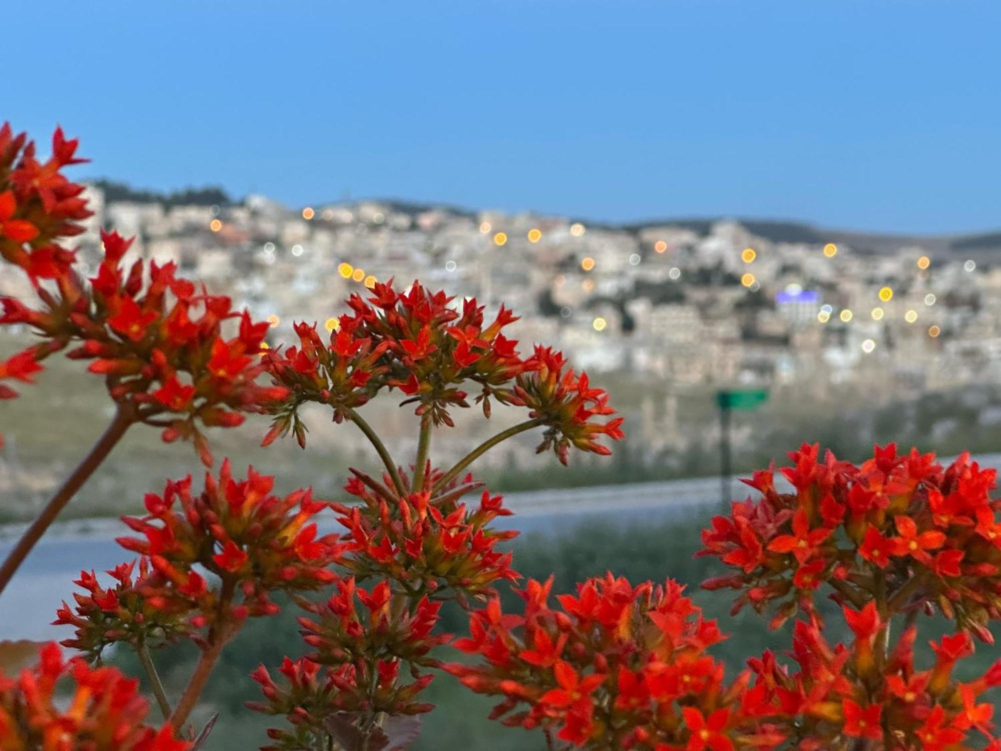 Jerash City View Γέρασα Εξωτερικό φωτογραφία